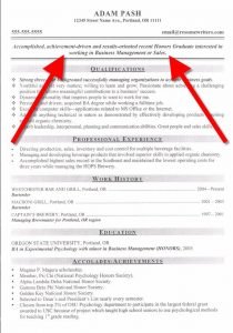 Impactful Resume Objective